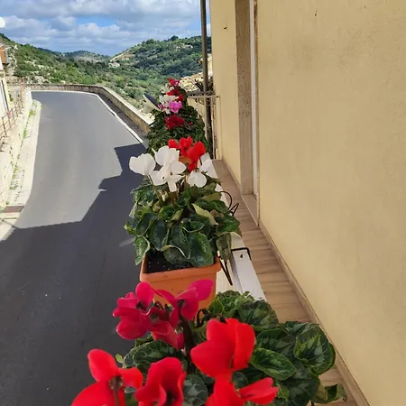 Iblachiara רגוזה